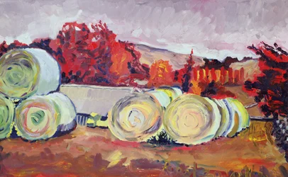 Heuballen, Schottland, 1996